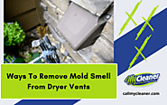 Ways To Remove Mold Smell From The Dryer Vents | Cape Coral, FL