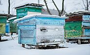 How to winterize your hive  - Beekeeping201