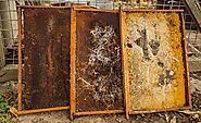 Top 6 Ways to Eliminate Wax Moths in Beehives - Beekeeping201