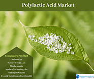 Polylactic Acid Market By Knowledge Sourcing Intelligence