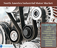 Comprehensive Study On North America Industrial Motor Market