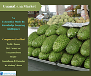 Guanabana Market By Knowledge Sourcing Intelligence