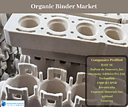 Organic Binder Market By Knowledge Sourcing Intelligence