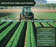 Comprehensive Study On Agricultural Adjuvants Market