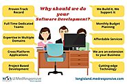 Why Should We Do Your Software Development?
