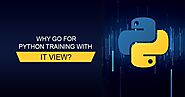 Why go for Python Training with IT View?