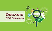 Organic SEO Service in New York - Perfect Marketing Solution
