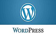 Search Engine Friendly Website| Wordpress Theme