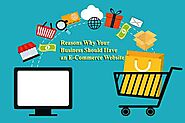 E Commerce Website for Business| Website Developement Company