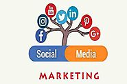 Social Media Marketing Company In India | Social Media Experts