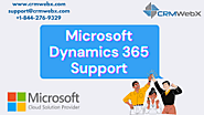 Microsoft Dynamics 365 services