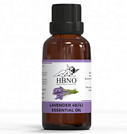 Lavender 40/42 Essential Oil from Manufacturers Wholesale Supplier at Essential Natural Oils