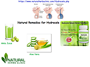 Utilize Natural Remedies for Hydrocele to Eliminate Fluid