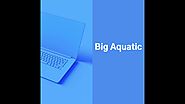 Big Aquatic Create your own digital world with us | Website Development Company in India
