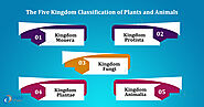 Five Kingdom Classification of Plants and Animals - DataFlair