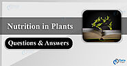 Nutrition in Plants Questions Answers Quiz - DataFlair