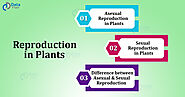 Reproduction in Plants - Sexual Reproduction and Asexual Reproduction - DataFlair