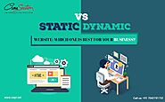 Static Vs Dynamic Website: Which One Is Best For Your Business?