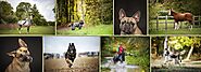Stunning Specialist Pet Photography For Dogs, Horses and All Animals