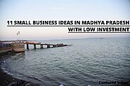11 Small Business Ideas In Madhya Pradesh With Low Investment In 2020: Confused Indian