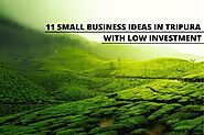 11 Small Business Ideas In Tripura With Low Investment In 2021: Confused Indian