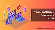 Top MEAN Stack Developers in USA