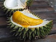 Find the best Black Gold Durian in Bukit Batok