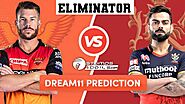 IPL 2020 Eliminator - SRH vs RCB Dream11 Fantasy Predictions and Betting Tips
