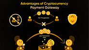 Crypto Payment Gateway Advantages