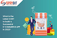 How Much Does It Cost To Develop An Ecommerce App in 2022?