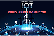 How Much Does It Cost to Develop an IOT App | by Kalyani Tangadpally | Oct, 2020 | Medium
