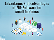 Advantages & Disadvantages Of Erp Software For Small Business