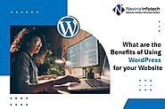 What are the Benefits of Using WordPress for your Website - New Englanders Play