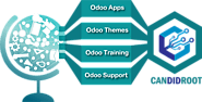 Expert Odoo Implementation at Budget Friendly Rate | Candidroot