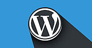 Hire Wordpress developer | WP development services company