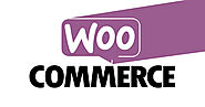 WooCommerce Theme Development, Developers & Experts