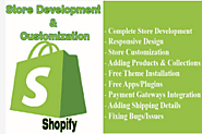 Professional E-commerce Solution Provider for Online Growth