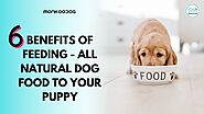 6 Benefits of Feeding Your Pup With All-Natural Dog Food - Monkoodog