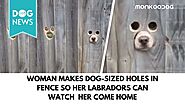 Devoted Dog Owner Cuts Snout And Eye Holes
