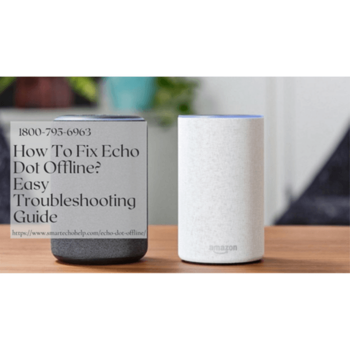 Alexa Not Working | A Listly List