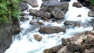 Vellari Mala waterfalls