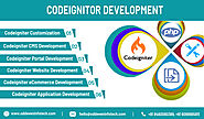 Codeigniter Development Services in India | OddevenInfotech
