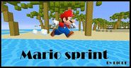 Mario Sprint Map 1.8/1.7.10 and 1.7.2