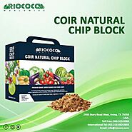 RIOCOCO offers energy-efficient coconut coir bricks for effective plant propagation