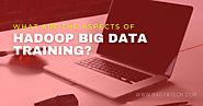 What are the aspects of Hadoop big data training? | Bagyatech