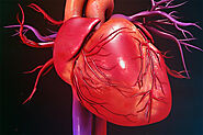 Top Heart Specialist In Jaipur