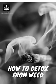 How to Detox from Weed? Easy to Follow Steps For Users Here