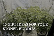 10 Best Gift Ideas For Your Stoner Buddies | Rocket Seeds