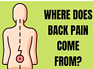 Where does Back Pain comes from