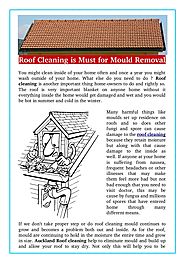 Roof Cleaning is Must for Mould Removal